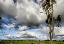  Scout回归赛场，关键助攻首场状态亮眼，掘金观众沸腾！